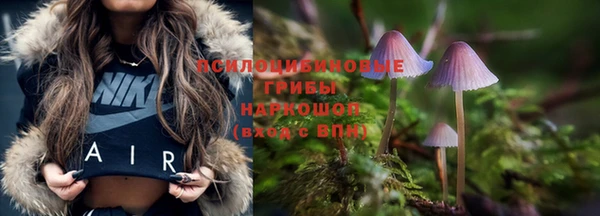 экстази Осташков