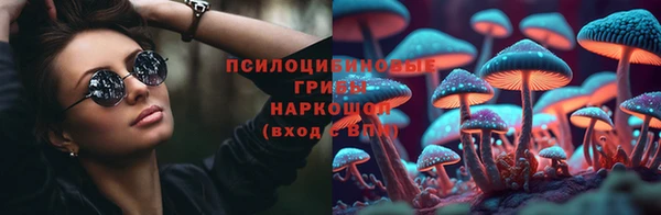 мдпв Осинники