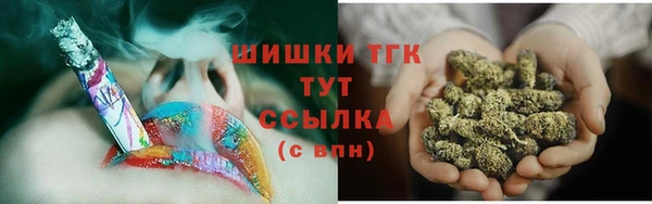 тгк Пересвет