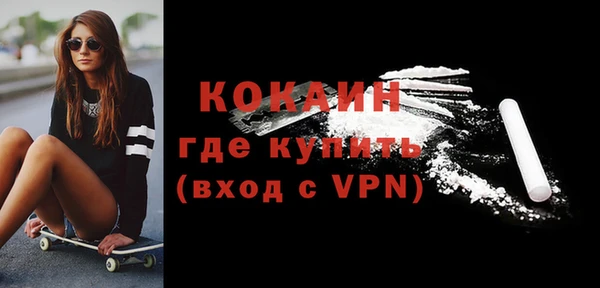 тгк Пересвет