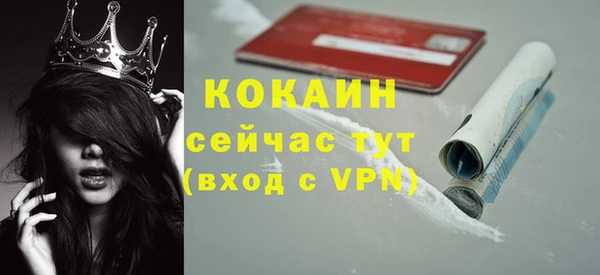 мдпв Осинники