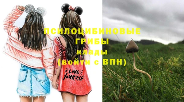 не бодяженный Остров