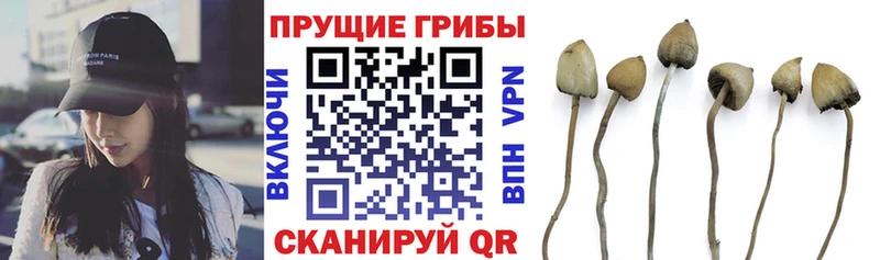 Галлюциногенные грибы Magic Shrooms  Хилок 
